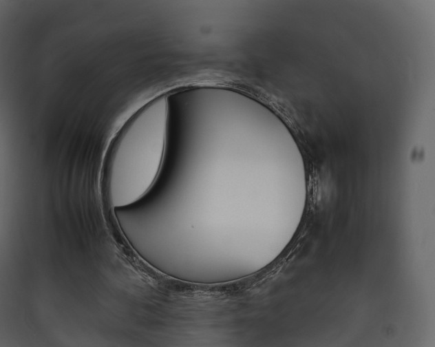 X0000090410292200707130931