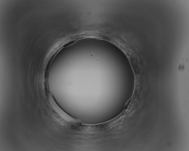 X0000090410293200707130931