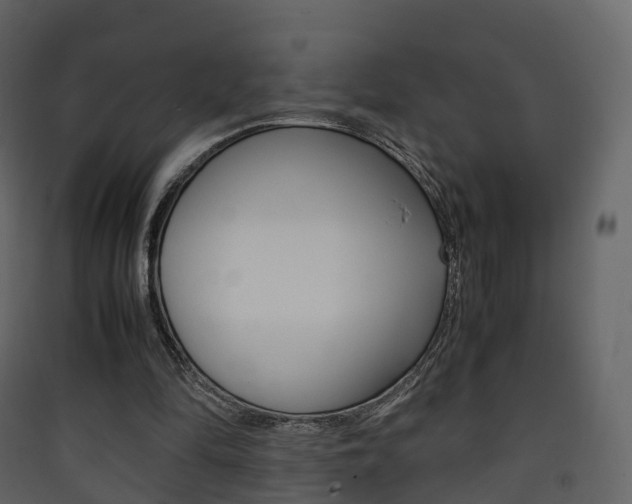 X0000090410294200707130931