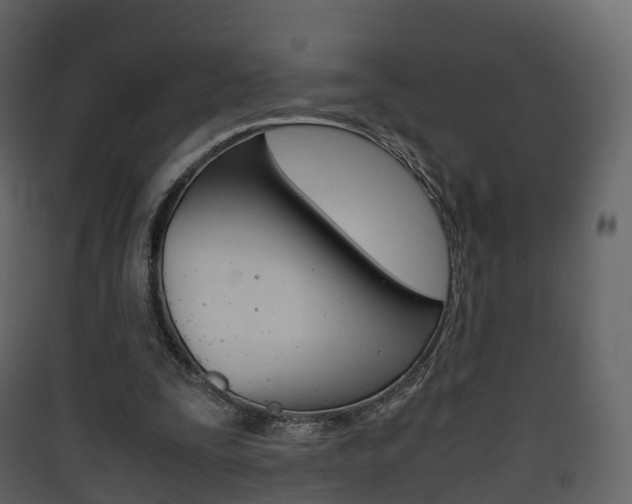 X0000090410295200707130931