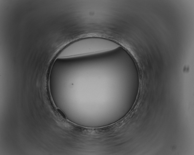 X0000090410297200707130931