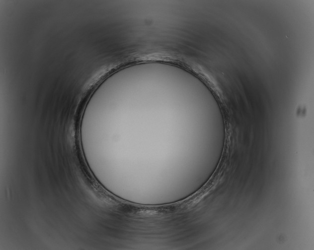 X0000090410298200707130931