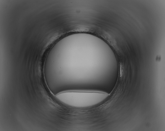 X0000090410300200707130931