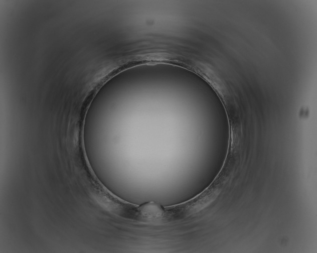X0000090410301200707130931