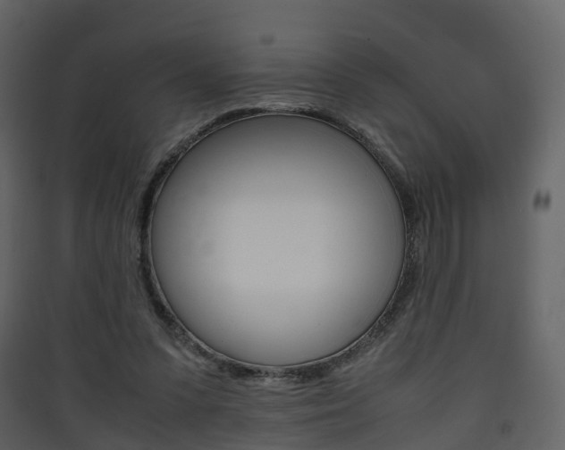 X0000090410303200707130931