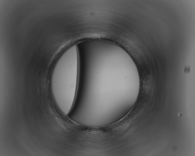 X0000090410304200707130931