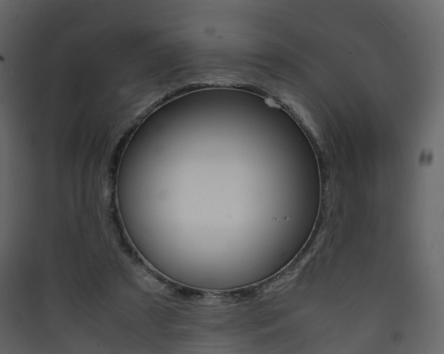 X0000090410305200707130931