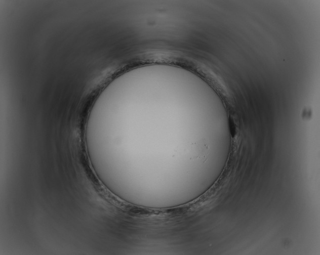 X0000090410306200707130931