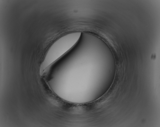 X0000090410307200707130931
