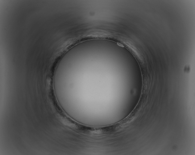 X0000090410309200707130931