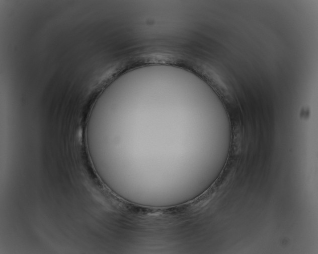 X0000090410310200707130931