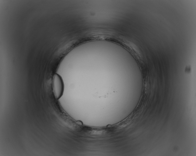 X0000090410314200707130931