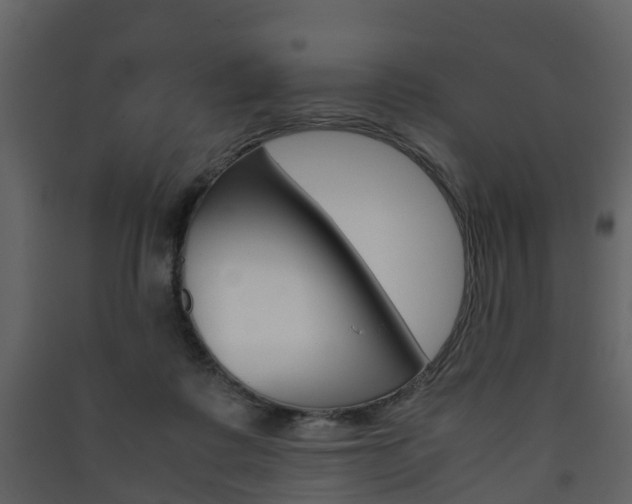 X0000090410315200707130931