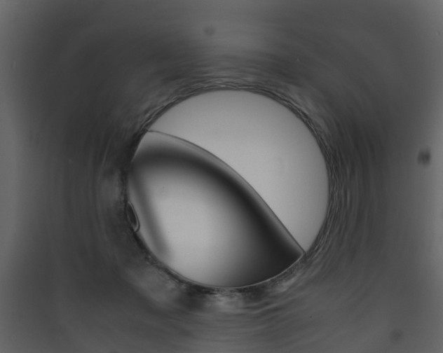 X0000090410317200707130931