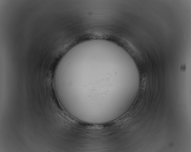 X0000090410318200707130931