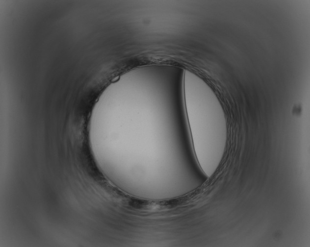 X0000090410319200707130931