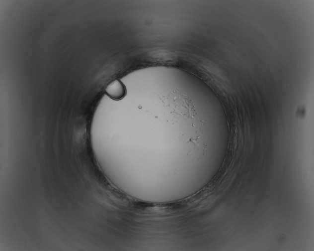 X0000090410320200707130931