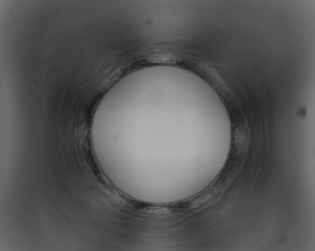 X0000090410322200707130931
