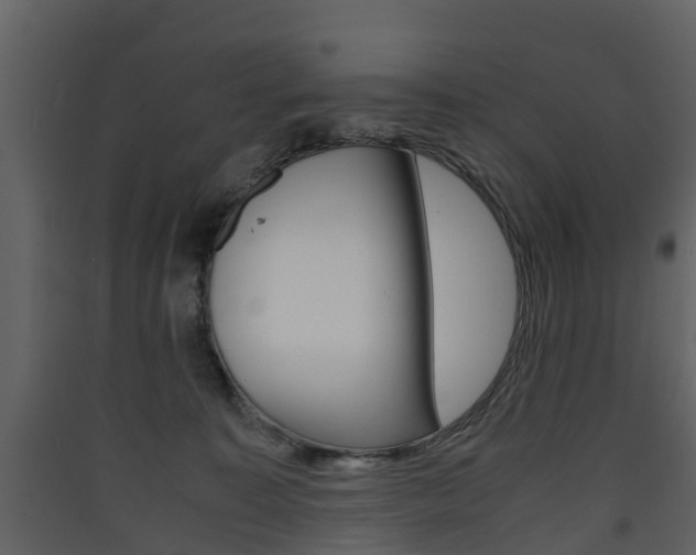 X0000090410323200707130931