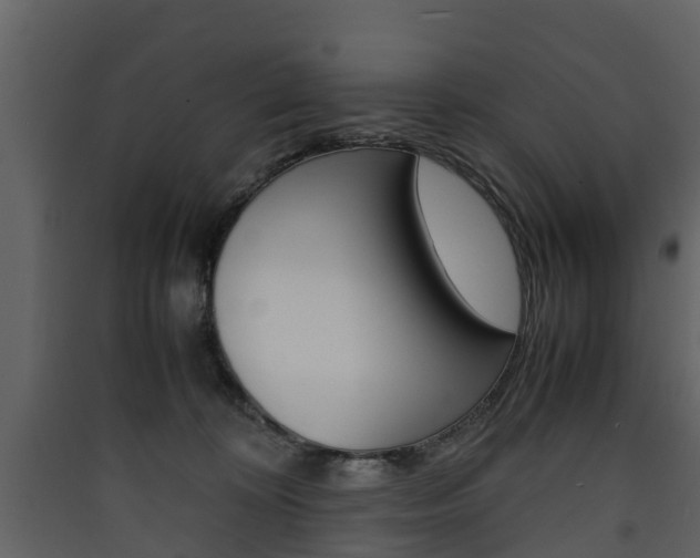 X0000090410324200707130931