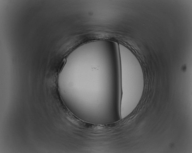 X0000090410325200707130931