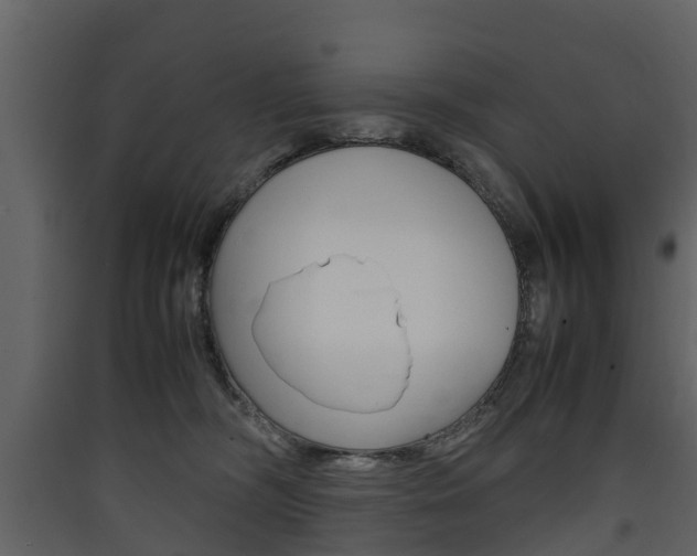 X0000090410326200707130931