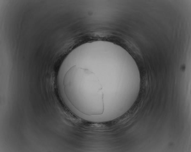 X0000090410328200707130931