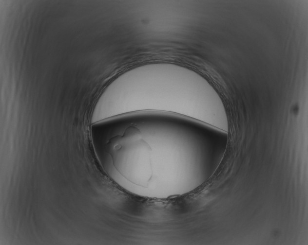 X0000090410329200707130931
