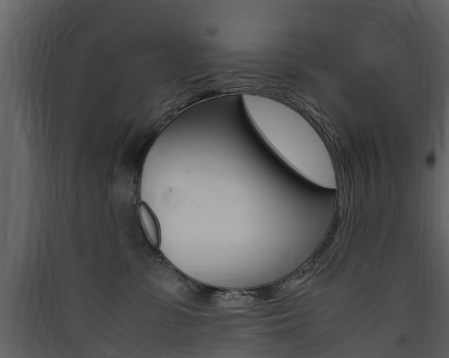 X0000090410331200707130930