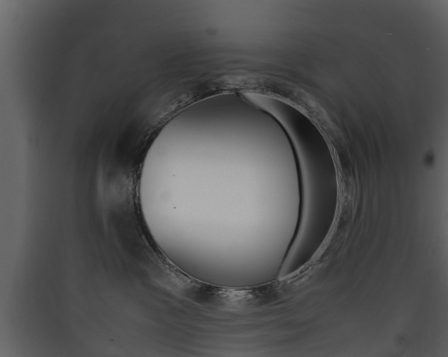 X0000090410333200707130930