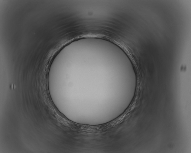 X0000090410337200707130930