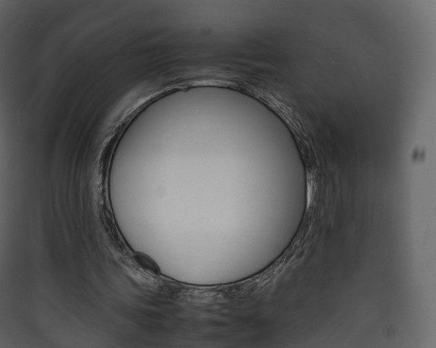 X0000090410339200707130930