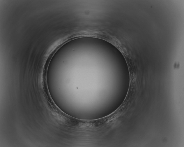 X0000090410340200707130930