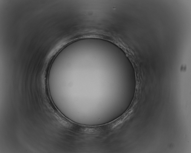 X0000090410341200707130930