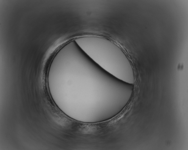 X0000090410343200707130930