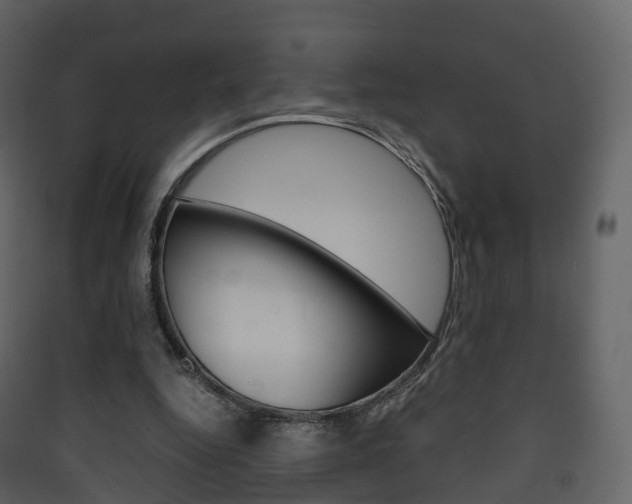 X0000090410344200707130930