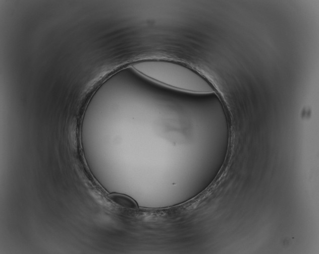 X0000090410345200707130930