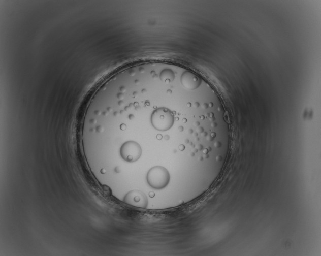 X0000090410346200707130930