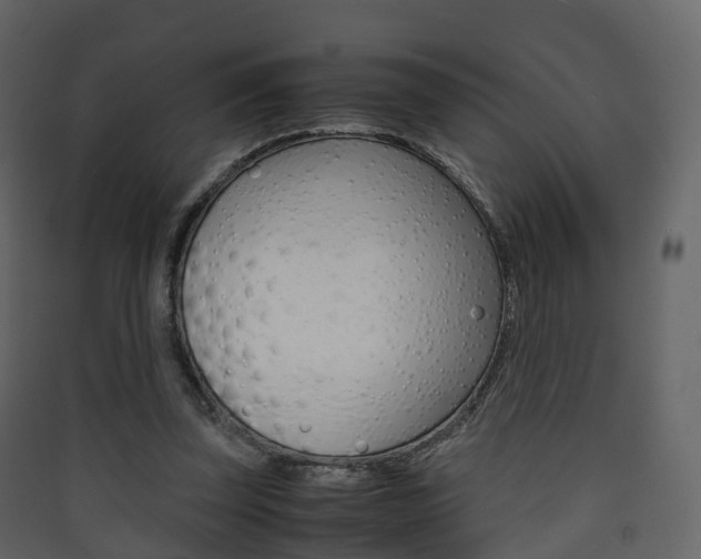 X0000090410347200707130930