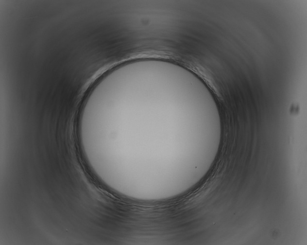 X0000090410348200707130930