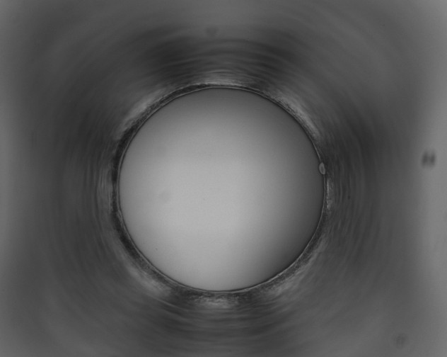 X0000090410349200707130930