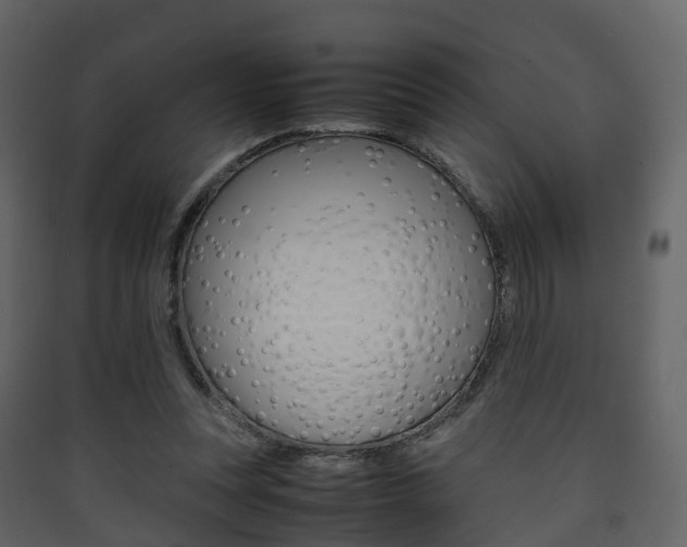X0000090410351200707130930