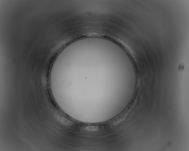 X0000090410353200707130930
