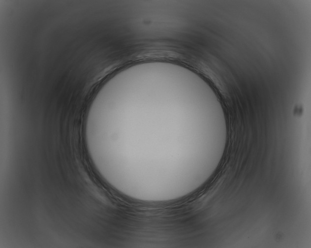X0000090410356200707130930