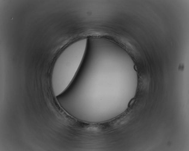 X0000090410358200707130930