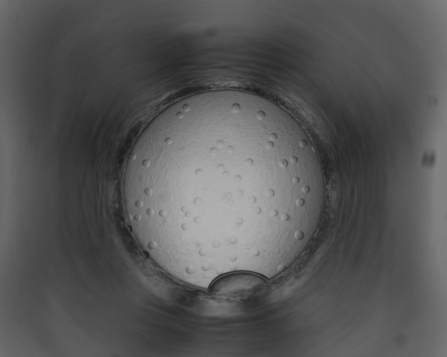 X0000090410359200707130930