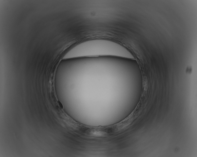 X0000090410360200707130930