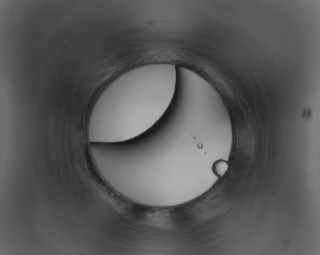 X0000090410362200707130930