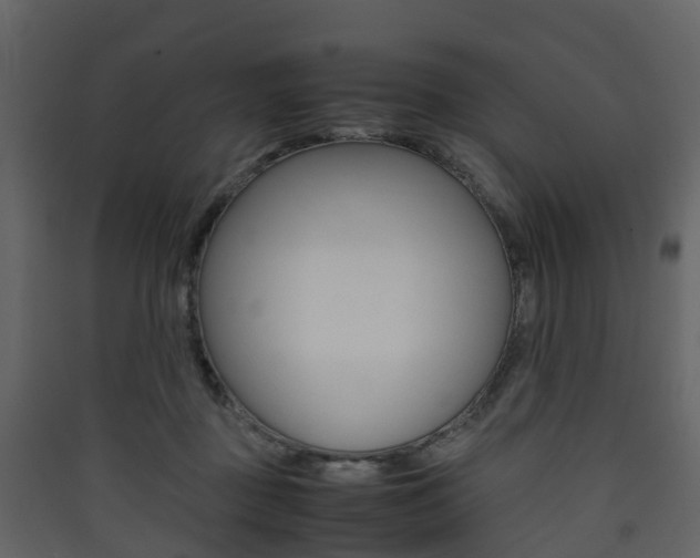 X0000090410363200707130930
