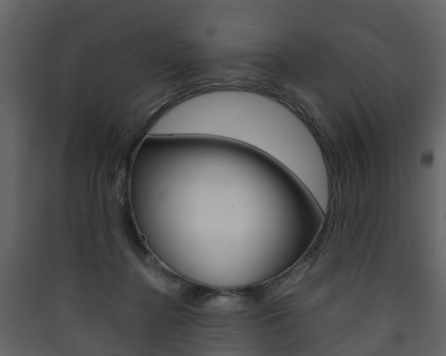 X0000090410364200707130930